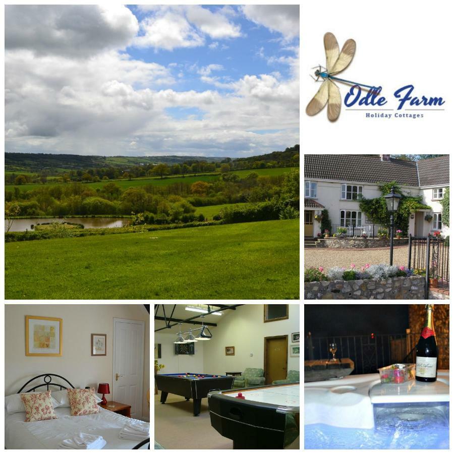 Villa Odle Farm à Honiton Extérieur photo