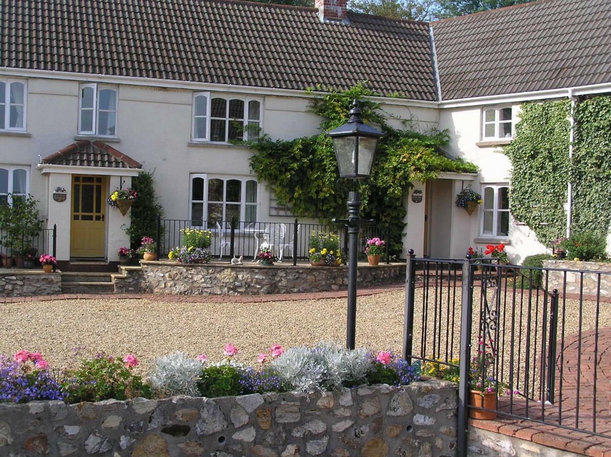 Villa Odle Farm à Honiton Extérieur photo