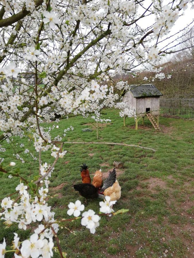 Villa Odle Farm à Honiton Extérieur photo